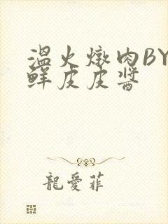 温火炖肉BY海鲜皮皮酱