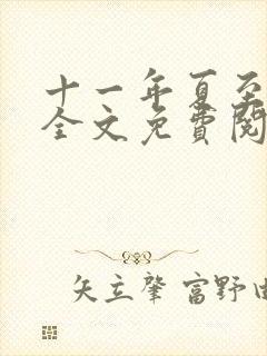十一年夏至小说全文免费阅读封面
