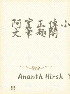 阿宾正传小说全文笔趣阁