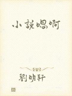 小说嗯啊