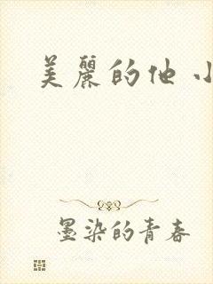 美丽的他 小说