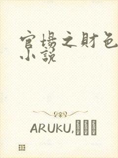 官场之财色诱人小说