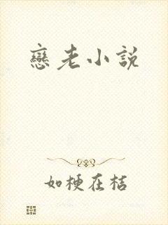 恋老小说