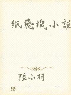 纸飞机小说