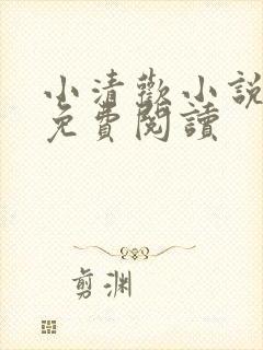 小清欢小说全文免费阅读