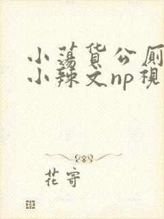 小荡货公厕h文小辣文np视频