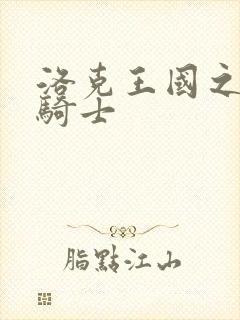 洛克王国之圣龙骑士封面