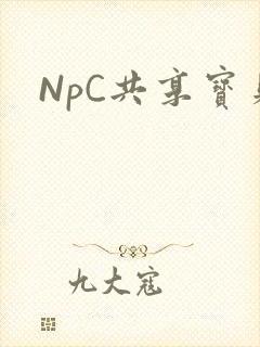 NpC共享宝贝封面