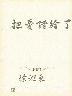把爱错给了你