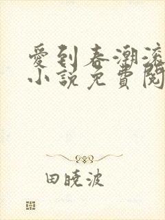 爱到春潮滚滚来小说免费阅读