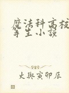 魔法科高校的劣等生小说封面