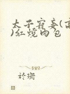 太子宠妾(高肉)红烧肉包