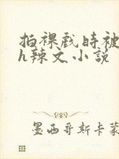 拍裸戏时被c了h辣文小说封面