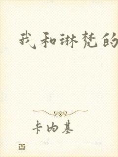 我和琳梵的故事
