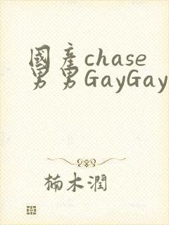 国产chase男男GayGay