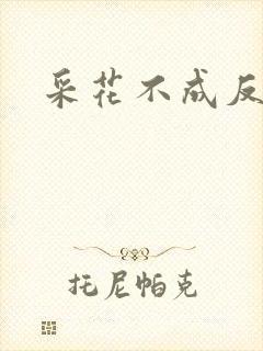 采花不成反被采封面