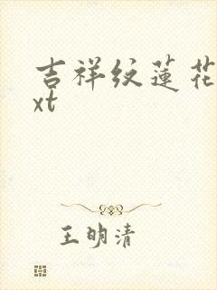 吉祥纹莲花楼txt