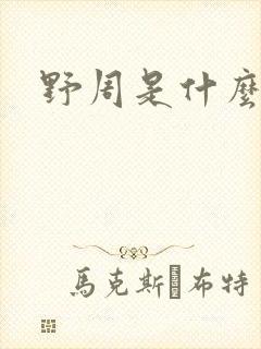 野周是什么意思