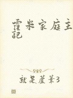 霍米家庭主妇日记封面