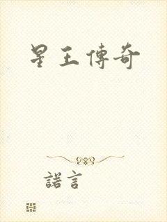 星王传奇