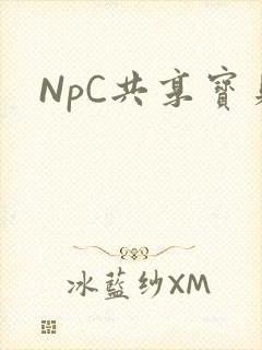 NpC共享宝贝