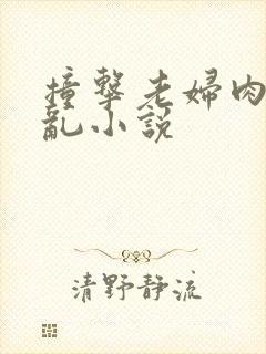 撞击老妇肉体之乱小说封面