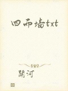 四面墙txt封面