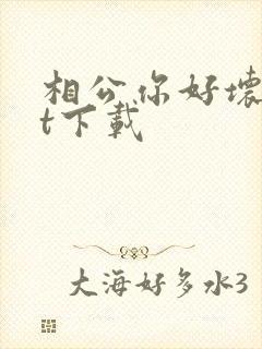相公你好坏txt下载