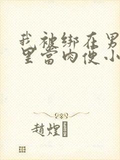 我被绑在男公厕里当肉便小说封面