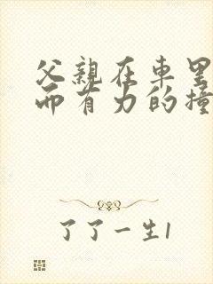 父亲在车里缓慢而有力的撞着封面