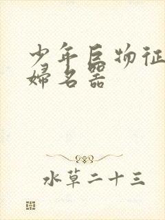 少年巨物征服美妇名器