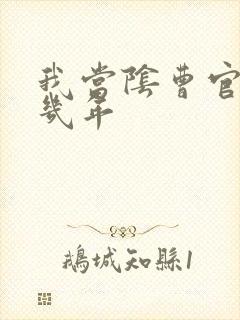 我当阴曹官的那几年封面