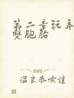 第二章玩弄校花双胞胎封面