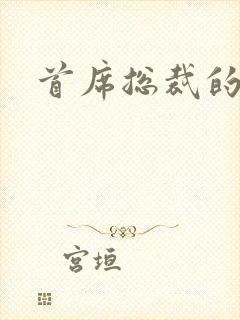 首席总裁的逃妻封面