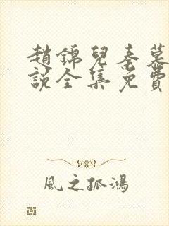 赵锦儿秦慕修小说全集免费