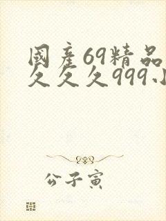 国产69精品久久久久999小说