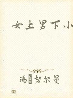 女上男下小说