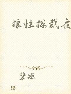 狼性总裁夜欢宠