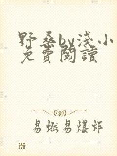 野桑by浅小说免费阅读封面