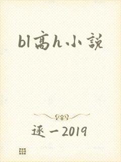 bl高h小说封面