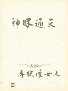 神眼通天