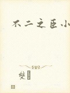 不二之臣小说