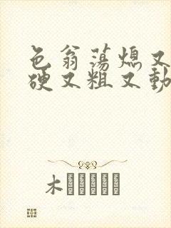 色翁荡熄又大又硬又粗又动态图