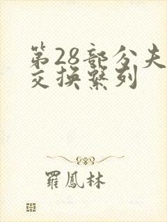 第28部分夫妇交换系列封面