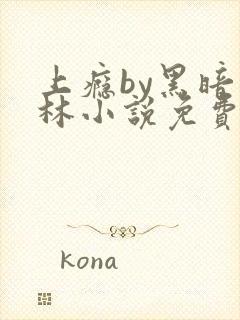 上瘾by黑暗森林小说免费