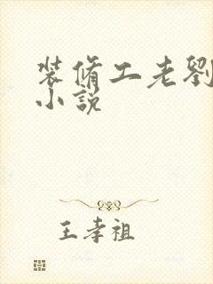 装修工老刘林雪小说封面