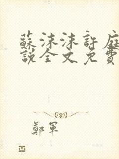 苏沫沫许庭川小说全文免费阅读封面