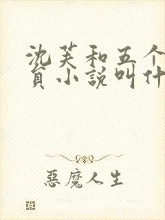 沈芙和五个消防员小说叫什么封面