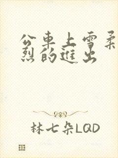 公车上雪柔被猛烈的进出