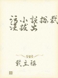 污小说总裁整夜没拔出